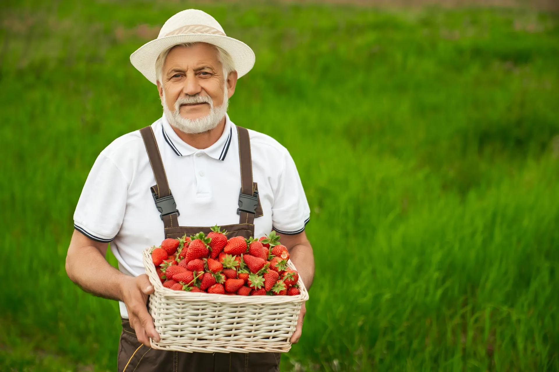 aged-man-standing-field-with-basket-strawberries.jpg